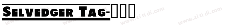 Selvedger Tag字体转换